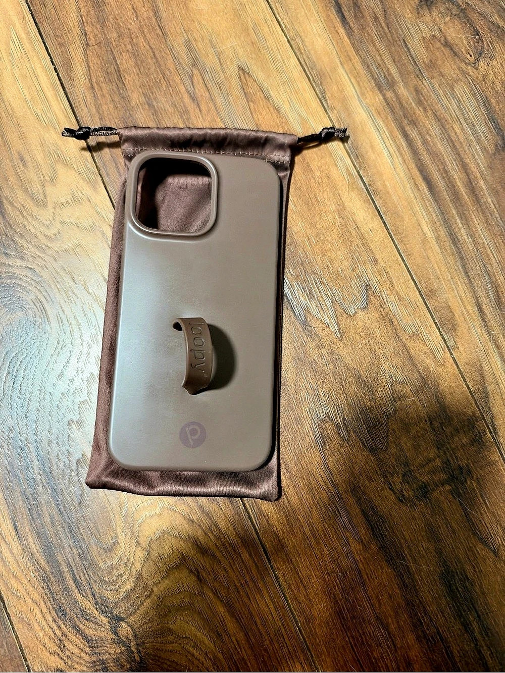 iPhone 16 Pro Max Loopy Case